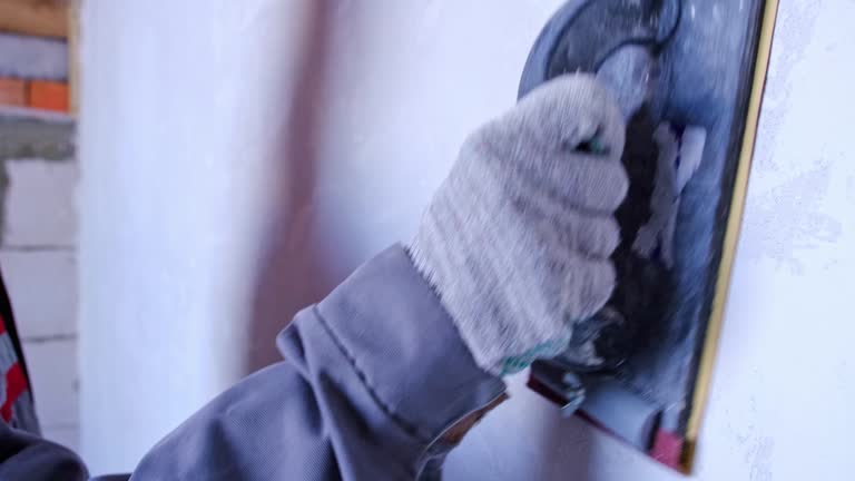 Best Emergency Mold Remediation  in Forest Hills, TN